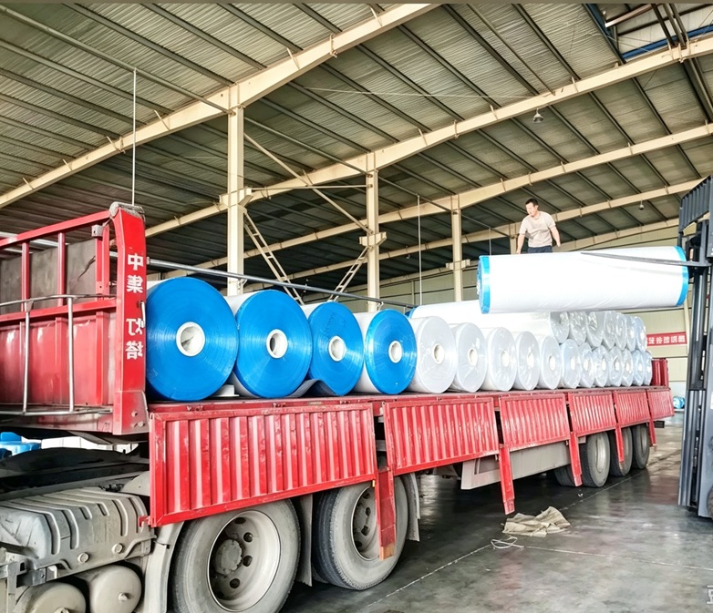 Beyond the Peel: Inside the Global Silicone Film Market Boom silicone film